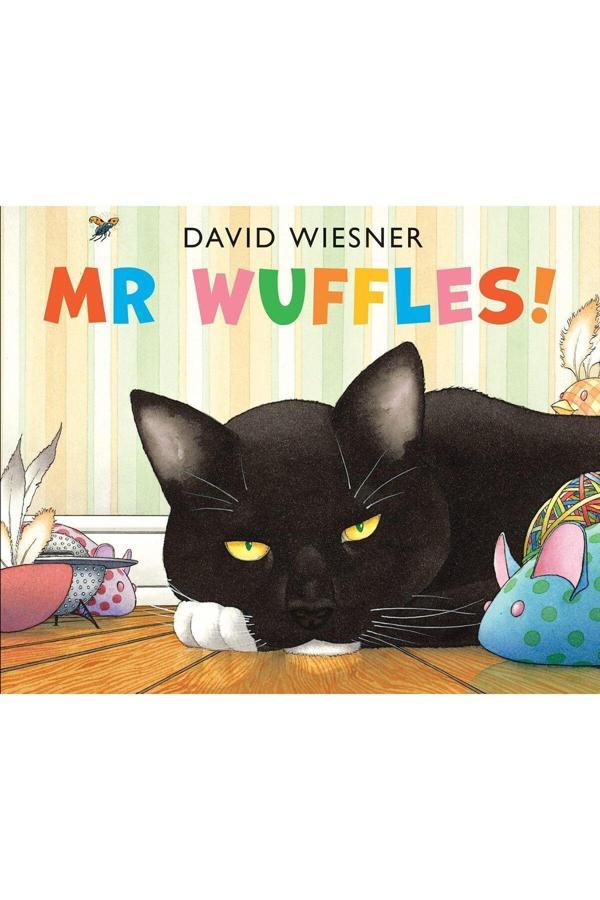 Mr Wuffles - Andersen Press - Image 1