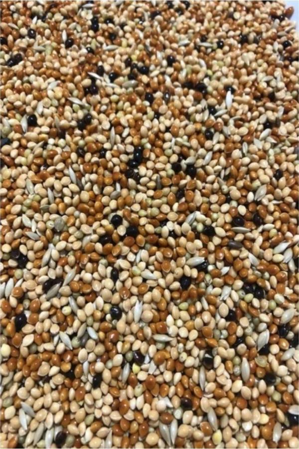 Mbb E-Ticaret Muhabbet Kuşu Yemi Karışık Vitaminli 3 Kg - Meyvesiz Yeni Mahsül Saf Kuş Yemi - Image 1