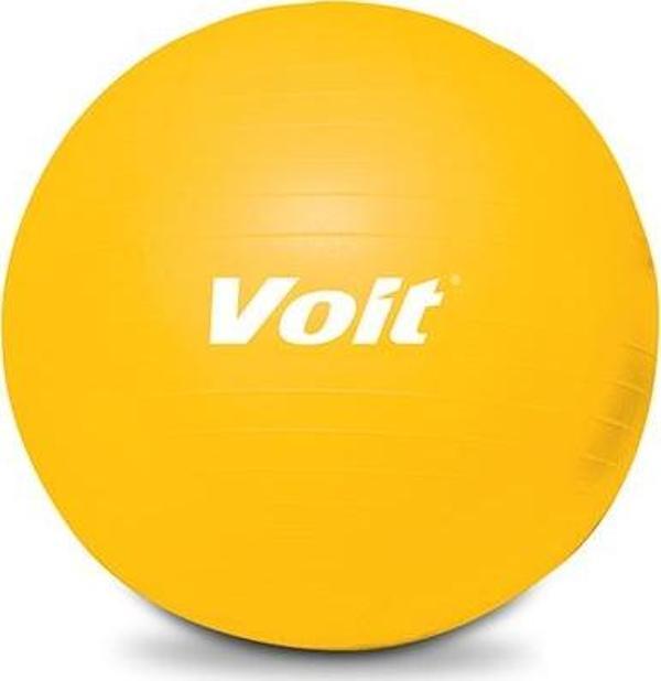 Voit GYMBALL 1VTKAGYM/55C-045-P - Image 1