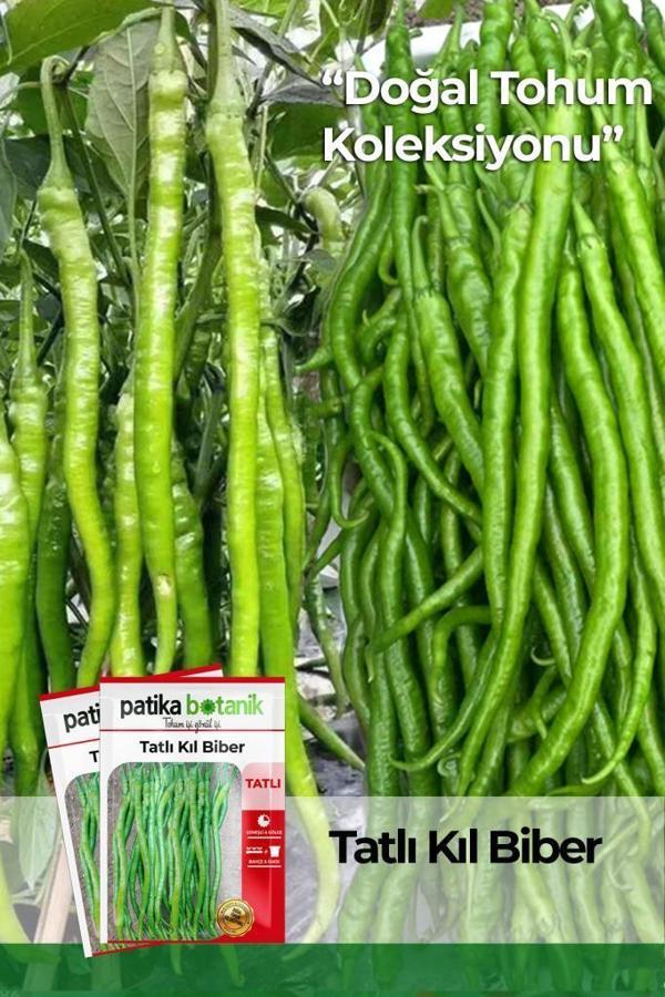1.200 Adet Yerli Ata Tatlı Kıl Biber Tohumu (10 Gr) - Image 1