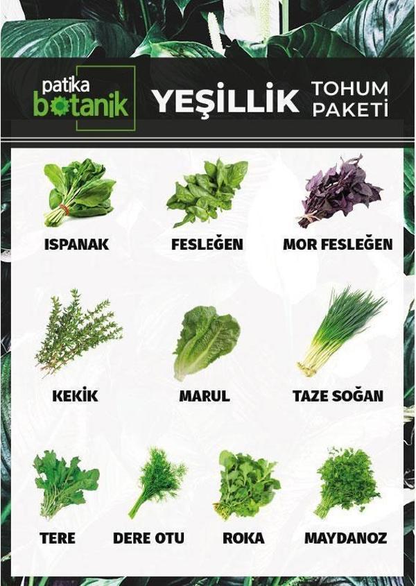 10 Çeşit Yeşillik Tohum Paketi 3000+ Tohum - Image 1