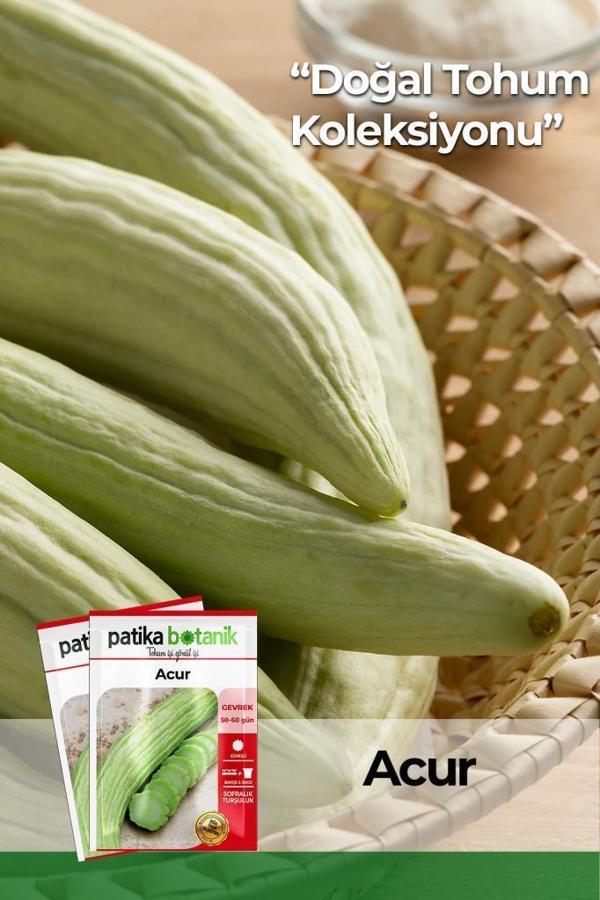 250 Adet Yerli Ata Acur Tohumu - Image 1