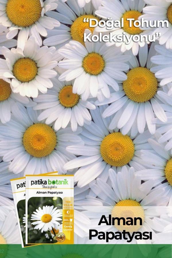 100 Adet Alman Papatya Tohumu - Image 1