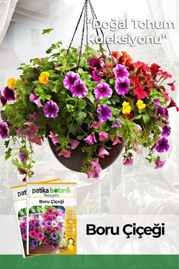 100 Adet Boru (Petunya) (Petunia) Çiçek Tohumu  - Image 1