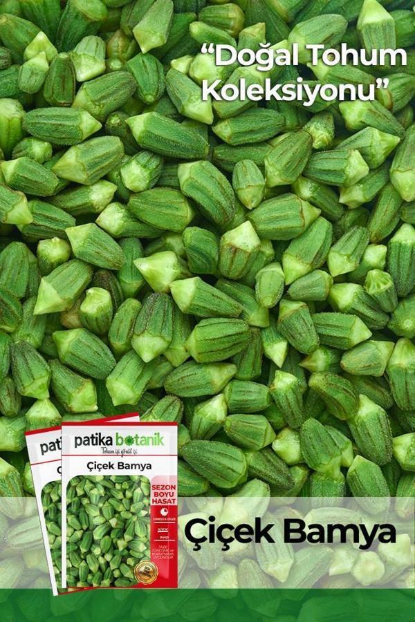 100 Adet Çiçek Bamya Tohumu - Image 1