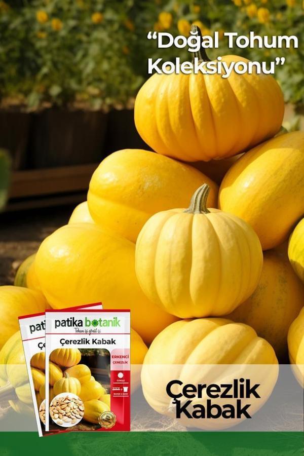 30 Adet Çerezlik Kabak Tohumu - Image 1