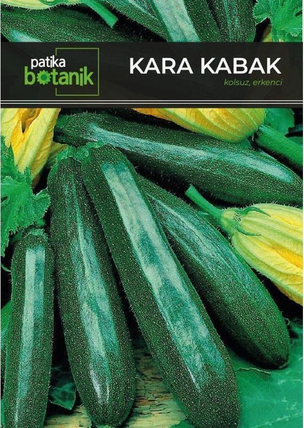 Siyah Kabak Tohumu 30 Tohum 10 Gram - Image 1