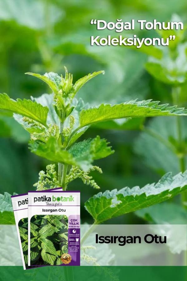 100 Adet Isırgan (Urtica Dioica) Tohumu - Image 1