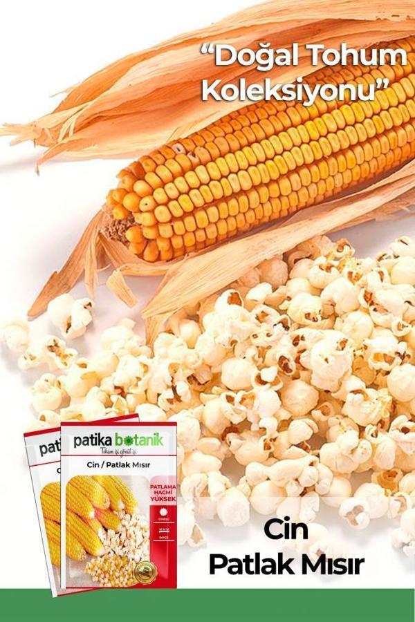 40 Adet Ata Tohumu Yerli Cin Mısır (POPCORN) - Image 1