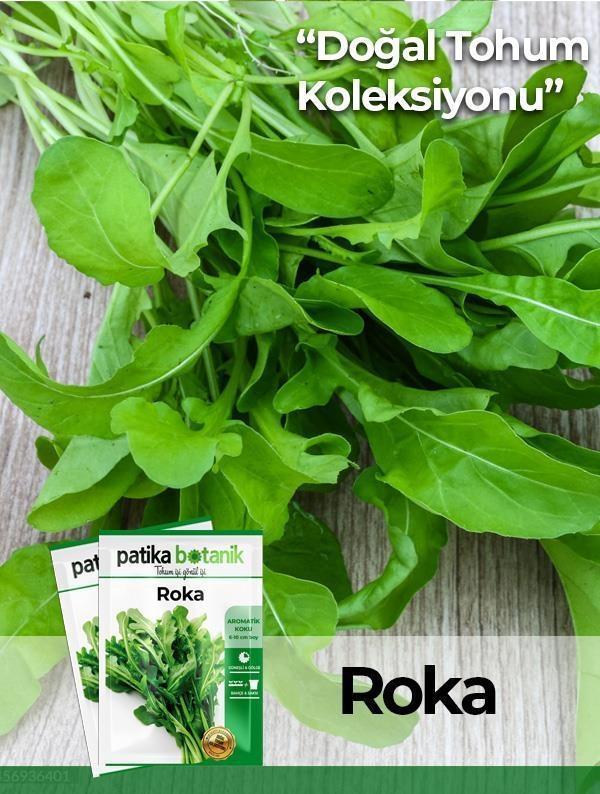 4000 Adet Yerli Ata Roka Tohumu - Image 1