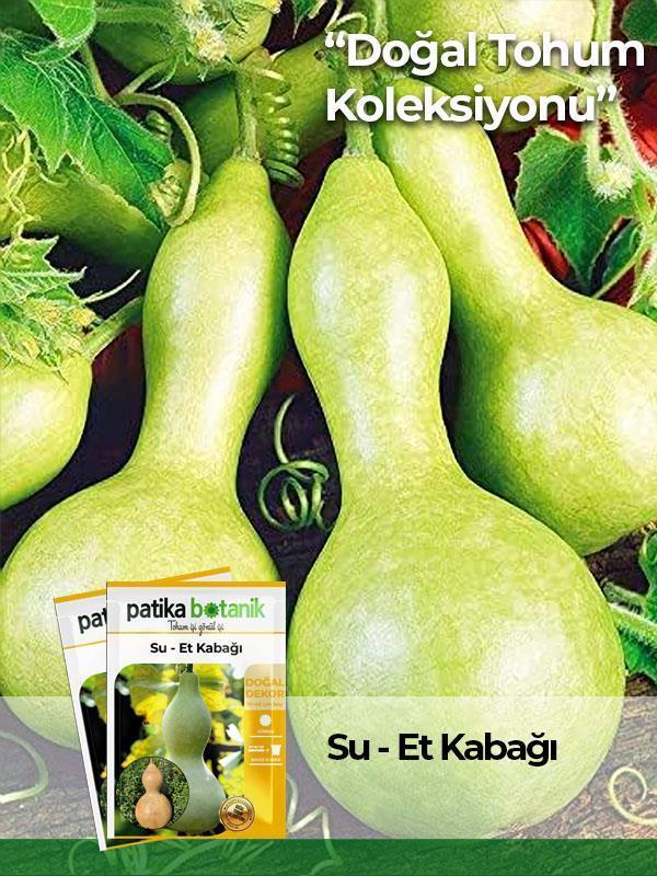 5 Adet Su - Et Kabağı (lagenaria Siceraria) Tohumu - Image 1