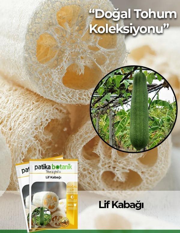 5 Adet Yerli Ata Lif Kabağı Tohumu Kabak Tohumu - Image 1