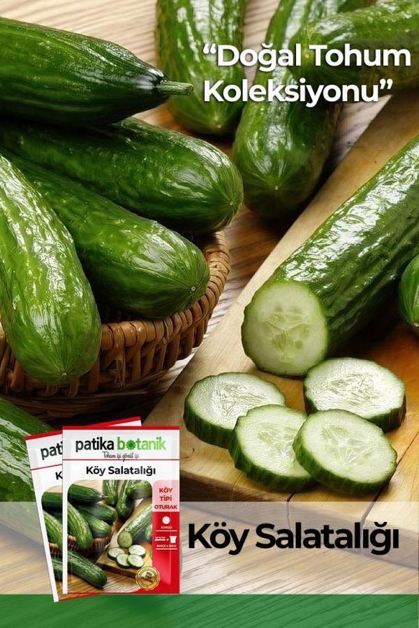 150 Adet Karışık Köy Salatalığı Tohumu - Image 1