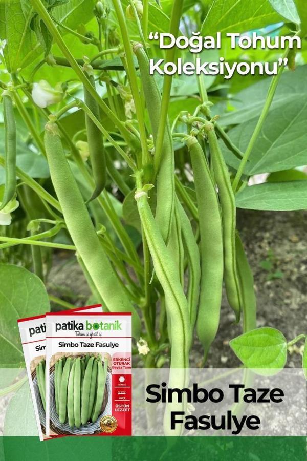 50 Adet Simbo Fasulye Tohumu - Image 1