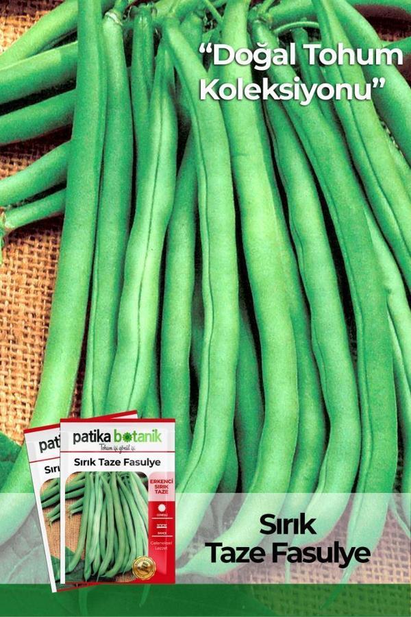50 Adet Sırık Fasulye Tohumu (Mine) GCL165 - Image 1