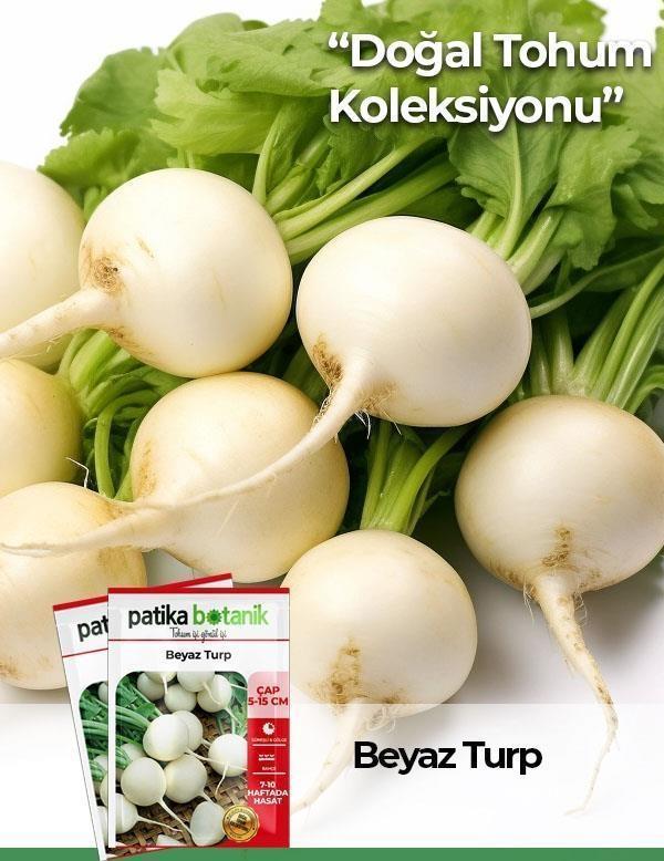 500 Adet Beyaz Turp Tohumu  - Image 1