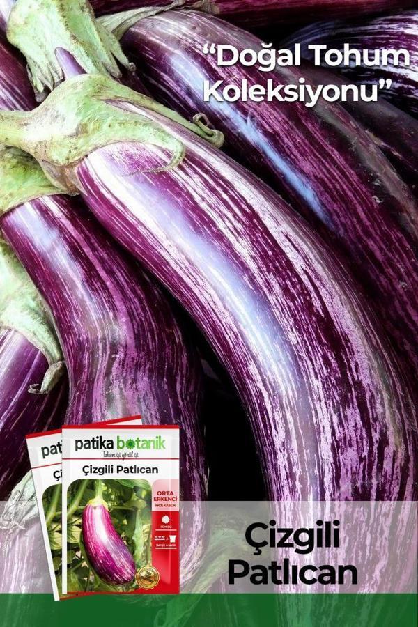 200 Adet Çizgili/Alaca Patlıcan Tohumu - Image 1