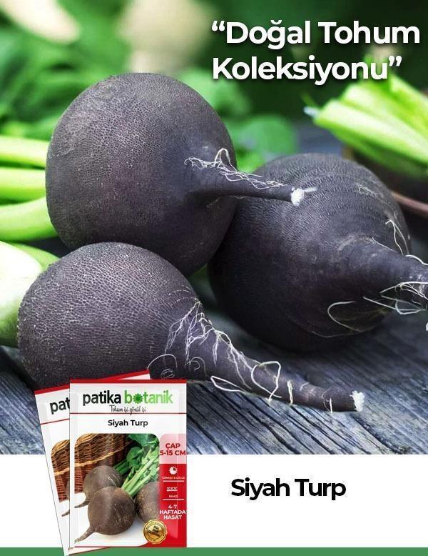 500 Adet Siyah Turp Tohumu - Image 1
