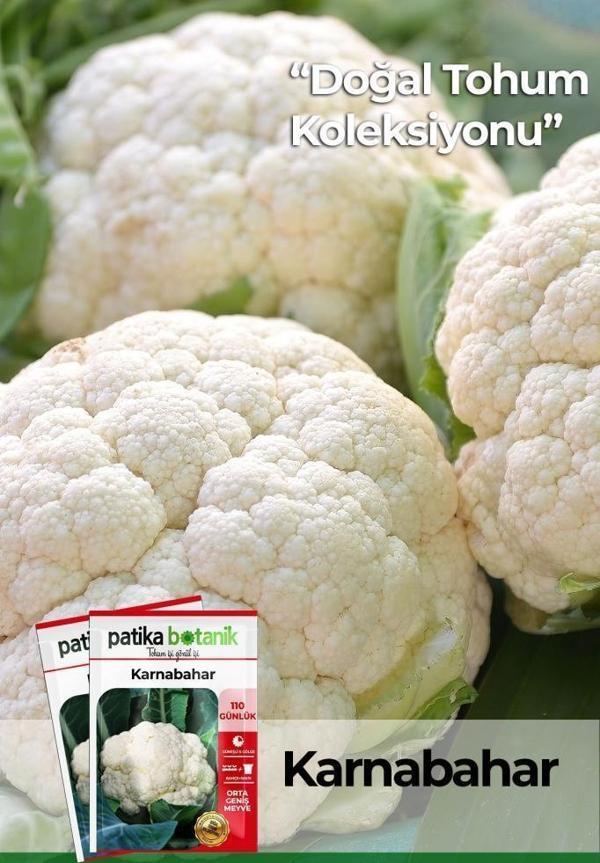 200 Adet Karnabahar Tohumu - Image 1