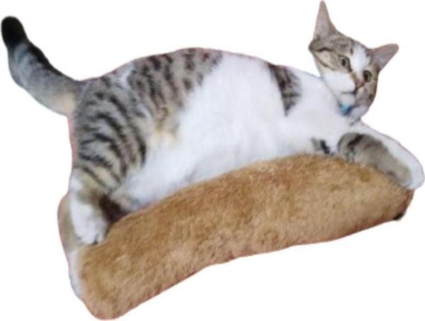 Tineke Kedi Oyuncağı Sarılma Yastığı Uyku Oyuncağı Kedi Otlu 30 Cm Peluş ( 1 Adet ) Kahverengi - Image 1