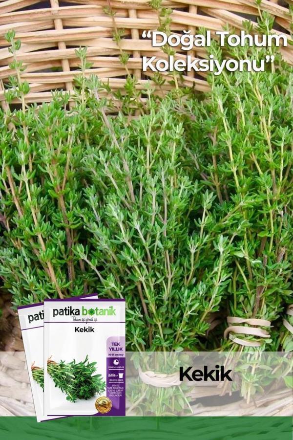 200 Adet Kekik Tohumu (Zahter) - Image 1