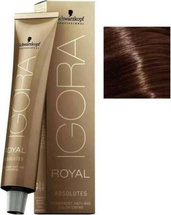 Schwarzkopf Igora Royal Absolutes 6-60 Koyu Kumral Çikolata Doğal Saç Boyası 60Ml - Image 1