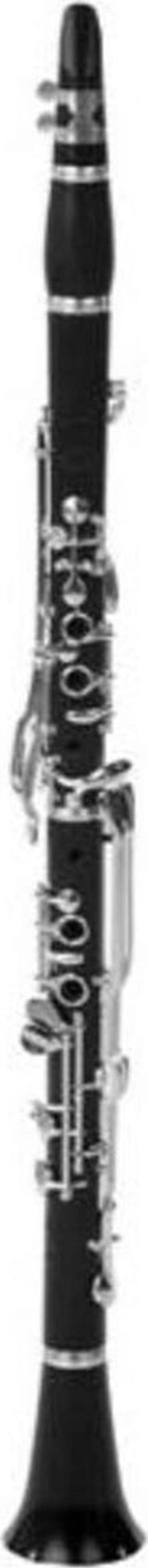 bonson Xcl-302G4 Sol Klarnet - Image 1