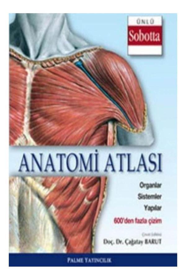 Anatomi Atlası (Sobotta Çizimleri) - Palme Yayınları - Palme Yayınları - Image 1
