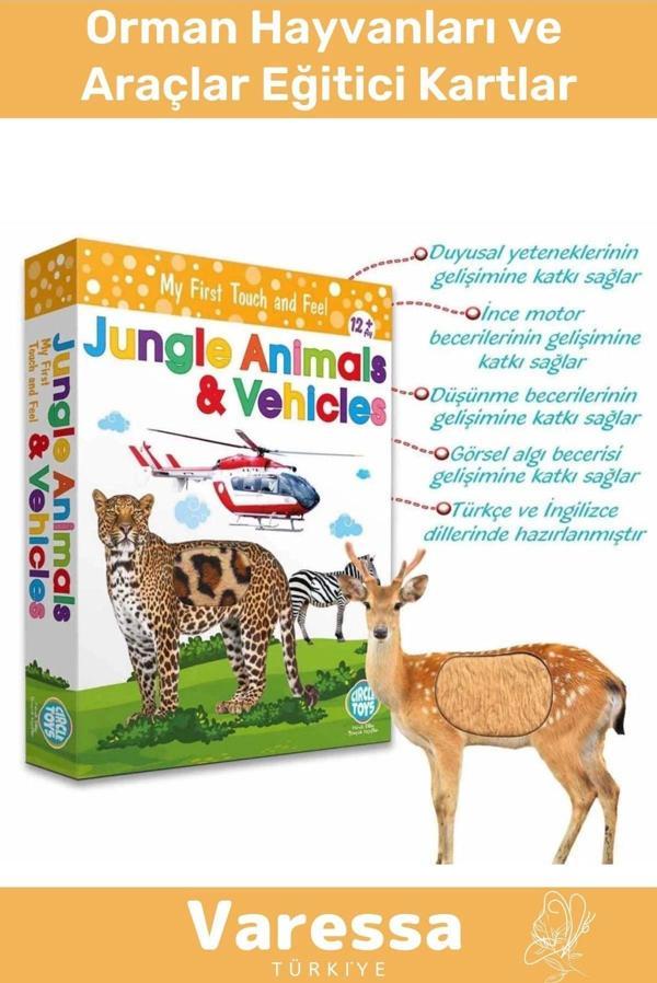 Premium Eğitici Seri Görsel Algı Eğlenceli Hisset Orman Hayvanları Ve Araçlar Eğitim Kartları - Image 1