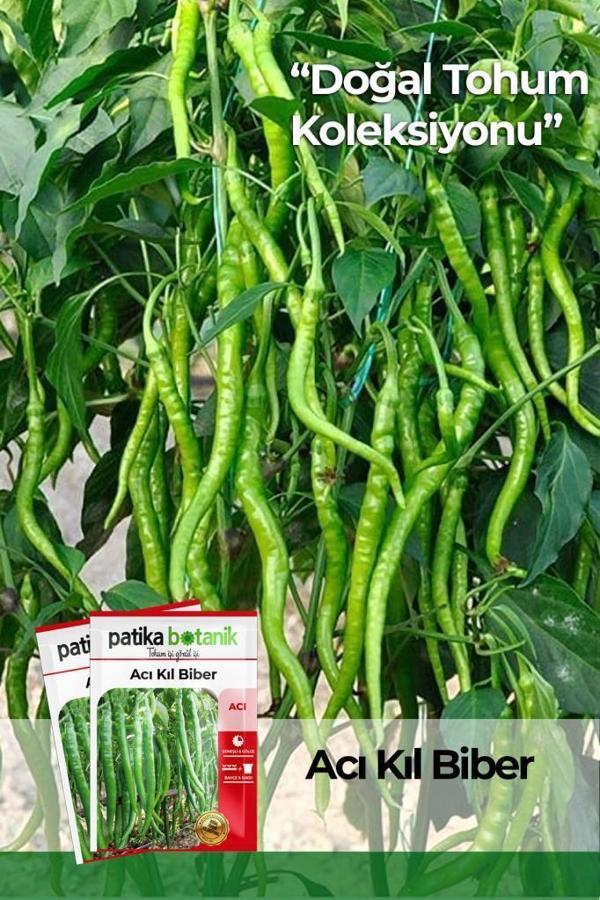 150 Adet Yerli Ata Acı Kıl Biber Tohumu - Image 1