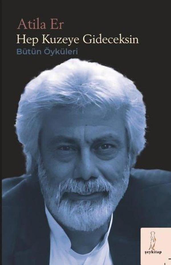 Hep Kuzeye Gideceksin - Bütün Öyküleri - ŞEY Kitap - Image 1