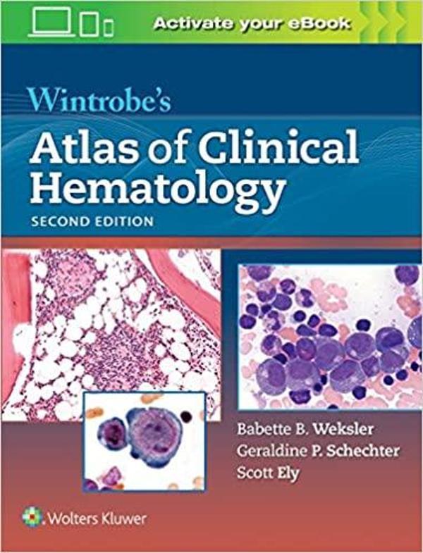 Wıntrobes Clınıcal Hematology - Wolters Kluwer - Wolters Kluwer - Image 1