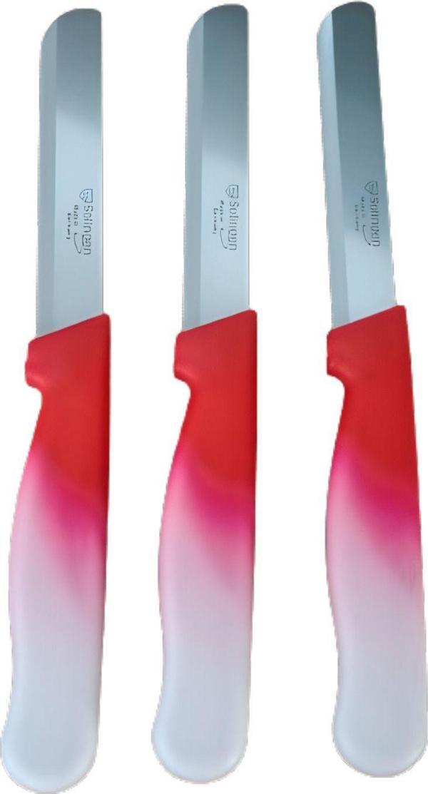 Sebze Bıçağı Lazerli Kırmızı Beyaz Renkli Kulp 3 lü Set (22 cm) - Image 1