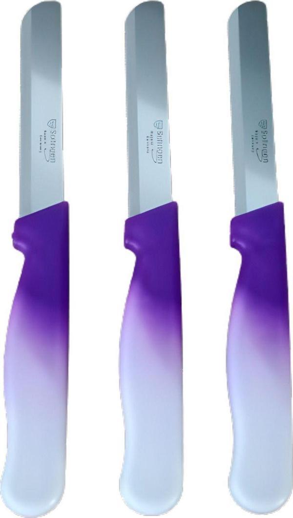 Sebze Bıçağı Lazerli Mor Beyaz Renkli Kulp 3 lü Set (22 cm) - Image 1