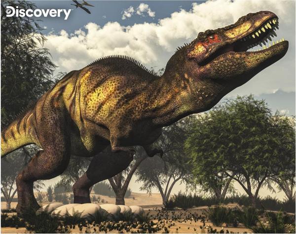Prime 3D Discovery Tyrannosaurus Rex Puzzle 63 Parça 20925 - Image 1