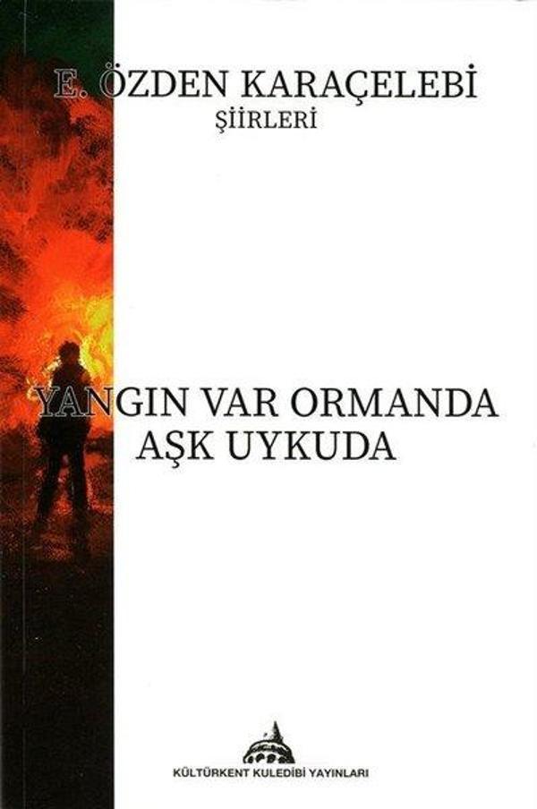 Yangın Var Ormanda Aşk Uykuda - Kuledibi Yayınları - Image 1