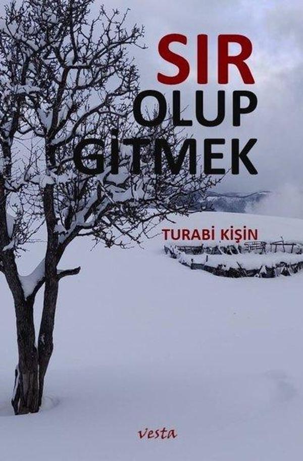 Sır Olup Gitmek - Vesta Yayınları - Image 1