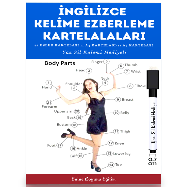 İngilizce Kelime Ezberleme Kartelaları (22 Kartela) - Enine Boyuna Eğitim - Enine Boyuna Eğitim - Image 1