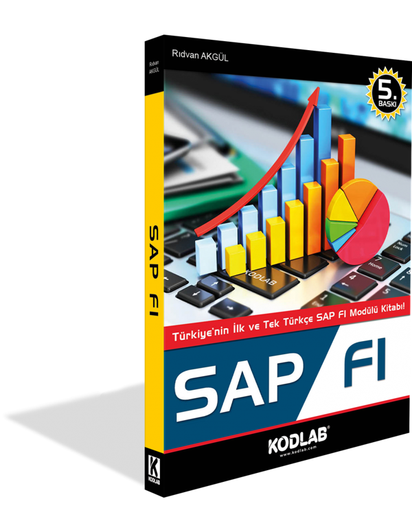 Sap Fi Eğitim Kitabı - Enine Boyuna Eğitim - Enine Boyuna Eğitim - Image 1