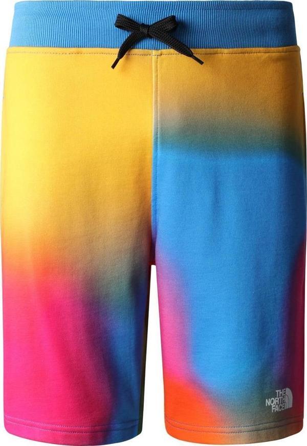The North Face M STANDARD SHORT LIGHT-EU Erkek Şort NF0A3S4EIAX1 - Image 1
