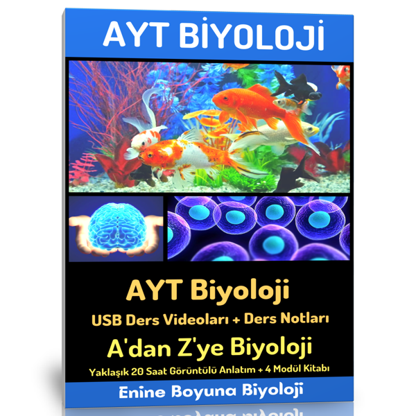 2024 Ayt Biyoloji Modüler Kitap Seti (Ders Videoları) - Enine Boyuna Eğitim - Enine Boyuna Eğitim - Image 1
