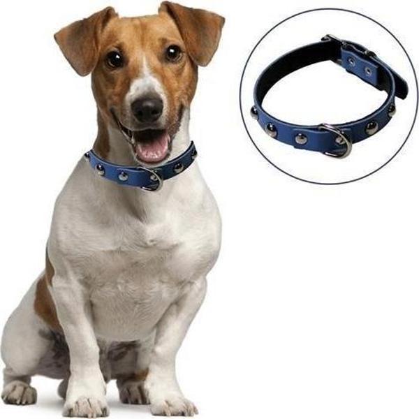 Yumuşak Dokulu Deri Köpek Gezdirme Boyun Tasması (Large) - Image 1