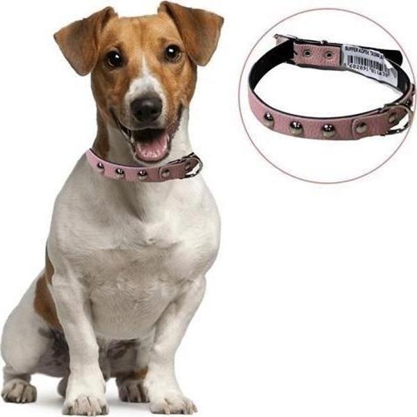 Yumuşak Dokulu Deri Köpek Gezdirme Boyun Tasması Medium - Image 1