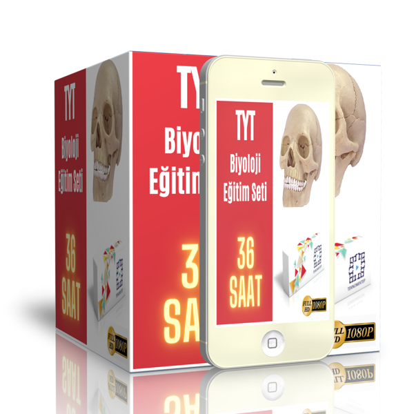 Tyt Biyoloji Görüntülü Eğitim Seti - Enine Boyuna Eğitim - Enine Boyuna Eğitim - Image 1