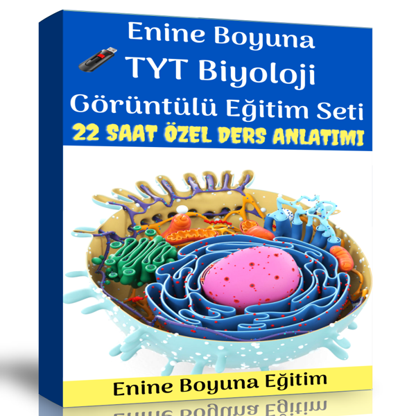 Tyt Biyoloji Görüntülü Eğitim Seti (22 Saat Özel Ders Anlatımı) - Enine Boyuna Eğitim - Enine Boyuna Eğitim - Image 1