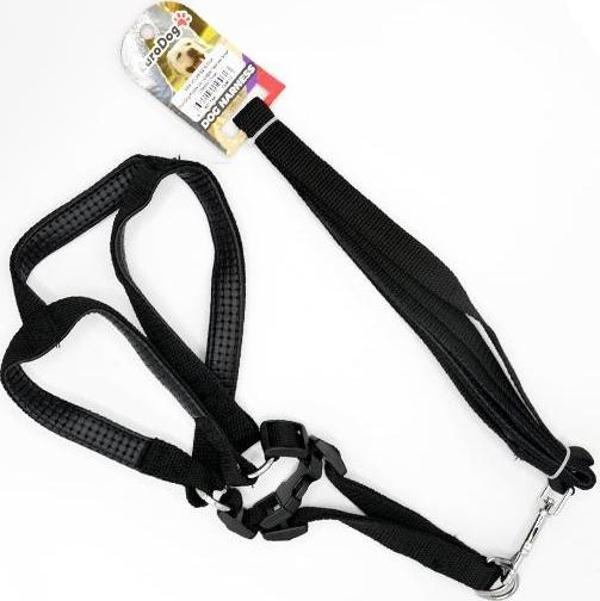 EuroDog Köpek Uz.+Göğüs Tasması Siyah 20mmx120cm - Image 1