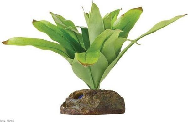 Exo Terra Teraryum İçin Plastik Bitki - Image 1