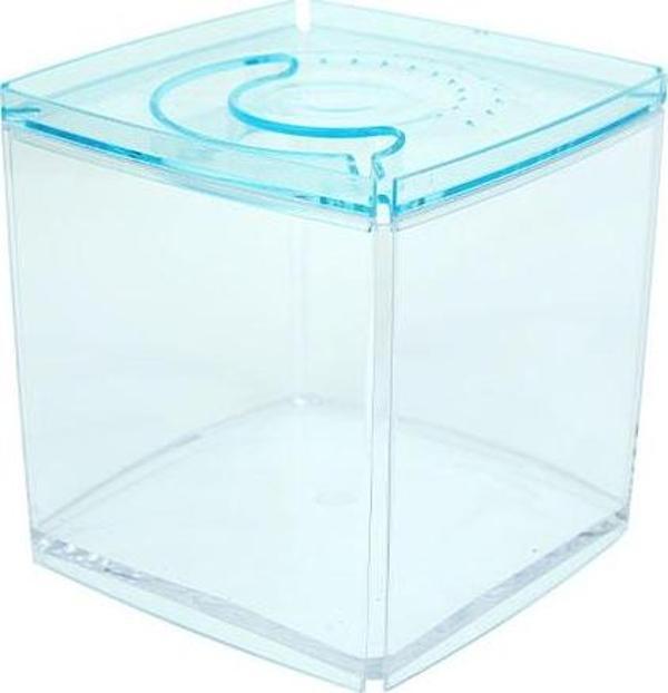 Ista Stylish Display Case - Kare Tank - Mavi - Image 1