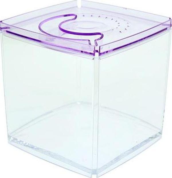 Ista Stylish Display Case - Kare Tank - Mor - Image 1