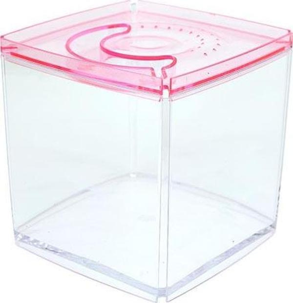 Ista Stylish Display Case - Kare Tank - Pembe - Image 1